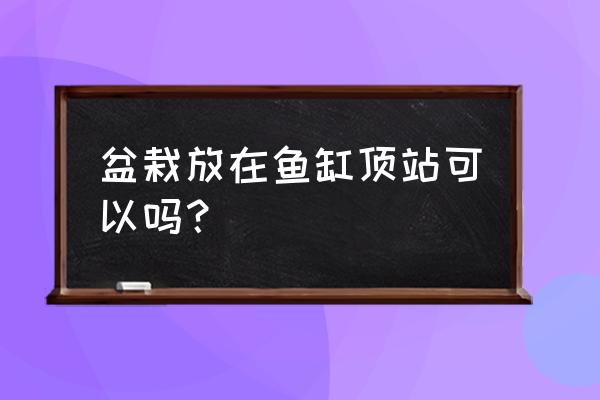 鱼缸上面能放花盆吗 盆栽放在鱼缸顶站可以吗？