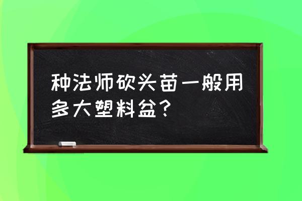 法师用多大花盆 种法师砍头苗一般用多大塑料盆？