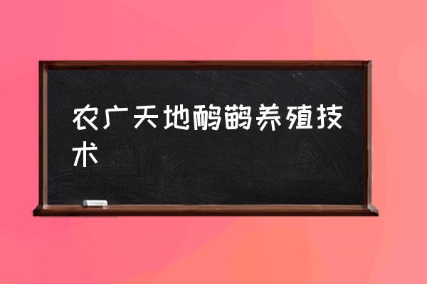 广州有几家鸸鹋养殖场 农广天地鸸鹋养殖技术