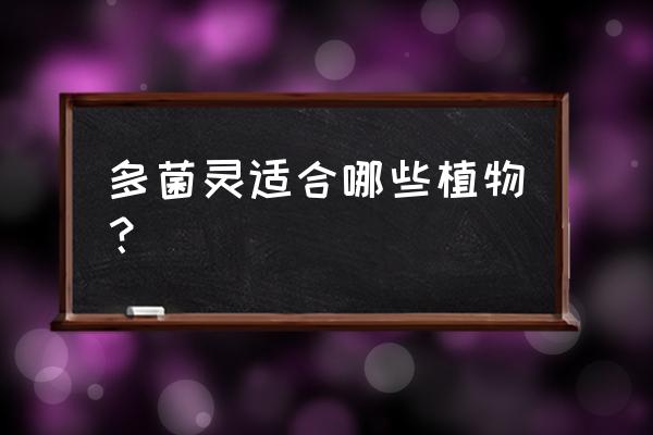 多菌灵能打天麻里面吗 多菌灵适合哪些植物？