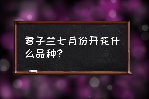 垂笑君子兰几月份开花 君子兰七月份开花什么品种？