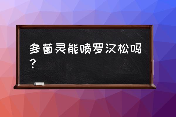 珍珠罗汉松怎样使用多菌灵 多菌灵能喷罗汉松吗？