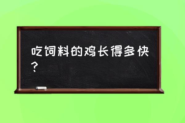 柴鸡喂饲料多久能长大 吃饲料的鸡长得多快？