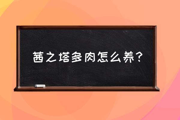 茜之塔怎么养多肉植物 茜之塔多肉怎么养？