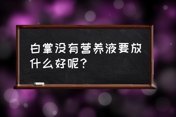 农用复合肥能养白掌吗 白掌没有营养液要放什么好呢？