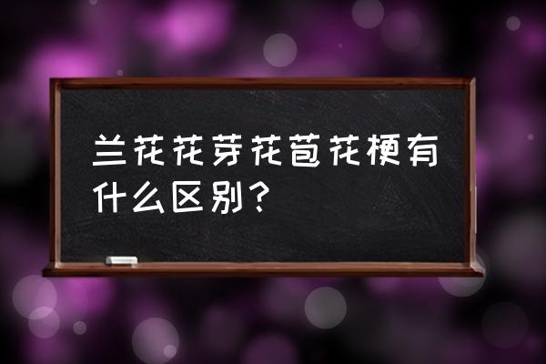 兰花花蕾怎分 兰花花芽花苞花梗有什么区别？