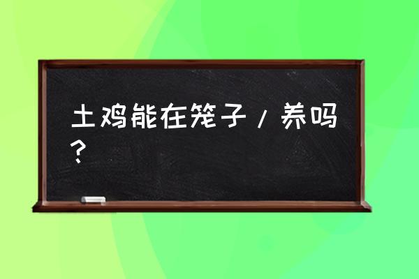 笼养鸡放养养的活吗 土鸡能在笼子/养吗？