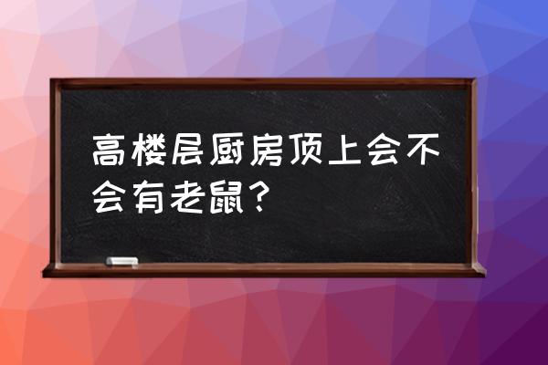 问下厨房吊顶会进老鼠吗 高楼层厨房顶上会不会有老鼠？