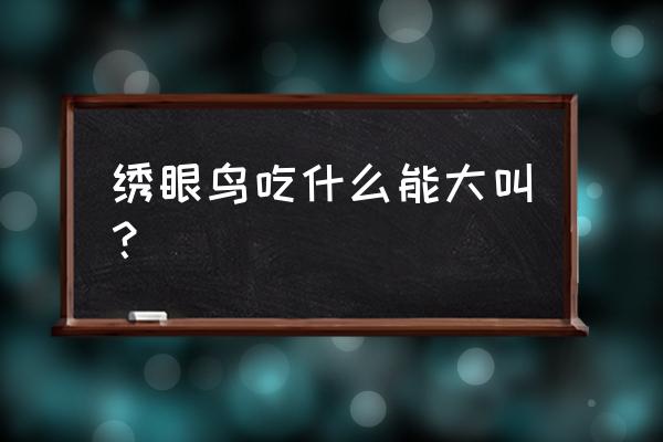 绣眼饲料添加蝗虫蚂蚁哪个好 绣眼鸟吃什么能大叫？