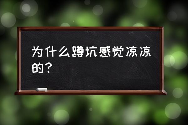 求教怎么蹲马桶屁股不会冷 为什么蹲坑感觉凉凉的？