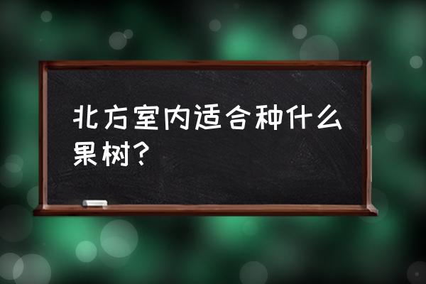 北方在家里能种什么果树 北方室内适合种什么果树？