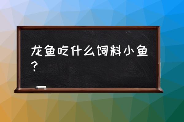 怎么调龙鱼吃饲料 龙鱼吃什么饲料小鱼？