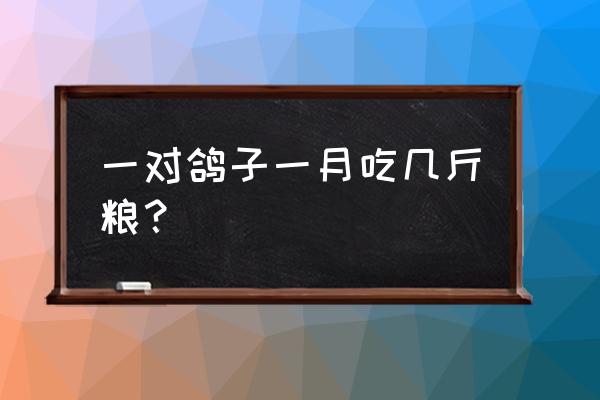 一个鸽子一个月吃多少饲料 一对鸽子一月吃几斤粮？