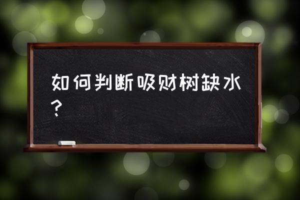 怎么看多肉植物缺水 如何判断吸财树缺水？