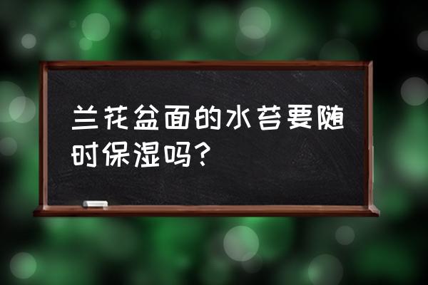 兰花盆铺苔藓怎么养护 兰花盆面的水苔要随时保湿吗？