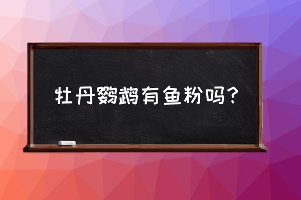 牡丹鹦鹉的饲料贵吗 牡丹鹦鹉有鱼粉吗？