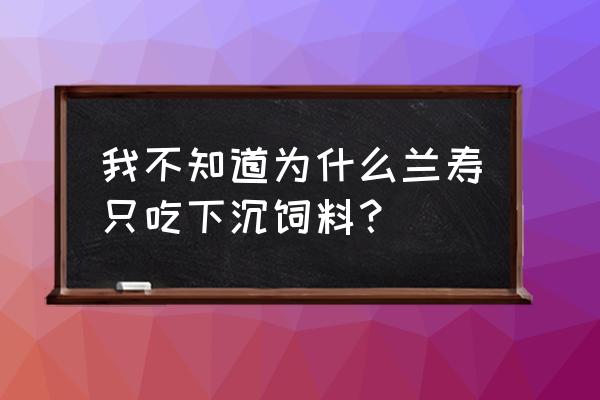 兰寿饲料为什么有下沉和上浮 我不知道为什么兰寿只吃下沉饲料？