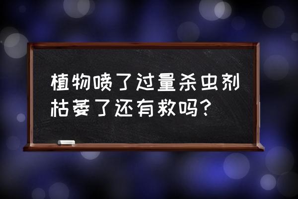 碗莲喷了杀虫剂叶子怎么办 植物喷了过量杀虫剂枯萎了还有救吗？