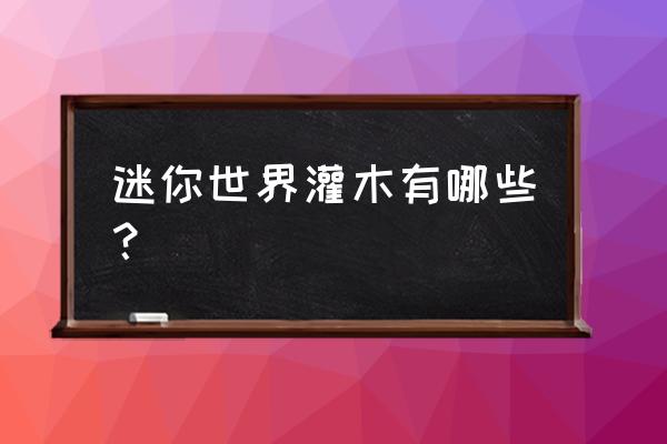 迷你世界中红杉木在哪 迷你世界灌木有哪些？