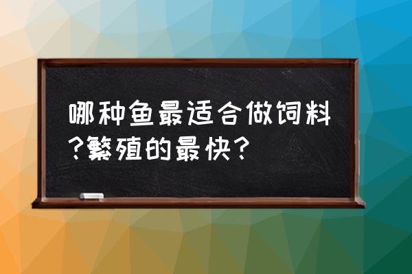 请问什么鱼种适合做饲料鱼 哪种鱼最适合做饲料?繁殖的最快？