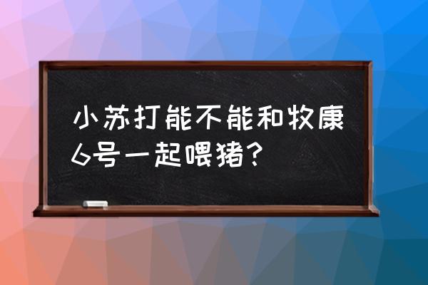 每吨猪饲料加几斤苏打 小苏打能不能和牧康6号一起喂猪？