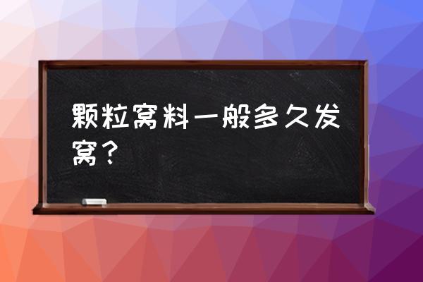 鸡饲料颗粒打窝多久才发窝 颗粒窝料一般多久发窝？