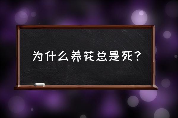 为啥养花容易枯萎 为什么养花总是死？