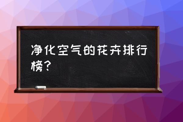 室内净化空气的花草有哪些 净化空气的花卉排行榜？