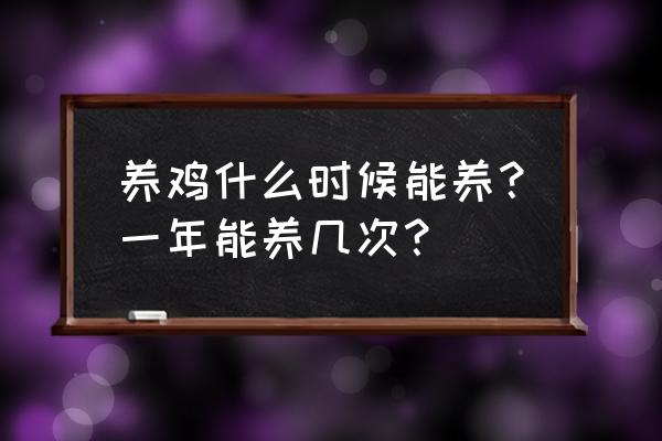 养鸡一年可以出栏几次 养鸡什么时候能养？一年能养几次？