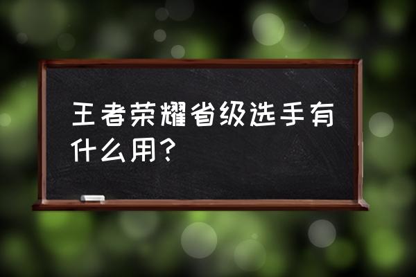 王者电竞选手有什么用 王者荣耀省级选手有什么用？