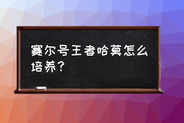 赛尔号哈莫多少级进化 赛尔号王者哈莫怎么培养？