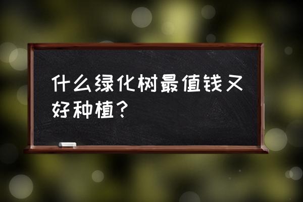 目前什么苗木最值钱 什么绿化树最值钱又好种植？