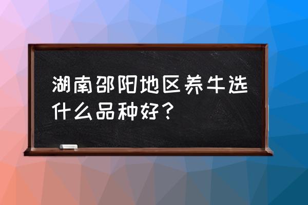 邵阳有养牛的吗 湖南邵阳地区养牛选什么品种好？