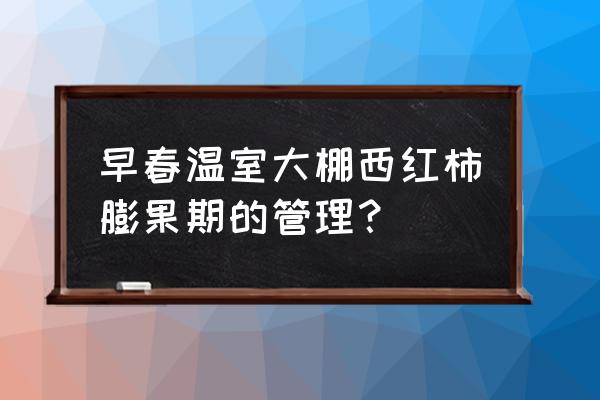 西红柿膨果期追多少肥料 早春温室大棚西红柿膨果期的管理？