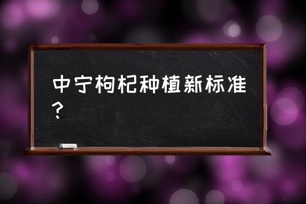 宁夏大颗粒枸杞怎么种植 中宁枸杞种植新标准？