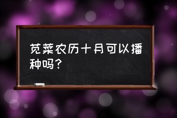 苋菜最迟什么时间可以播种 苋菜农历十月可以播种吗？