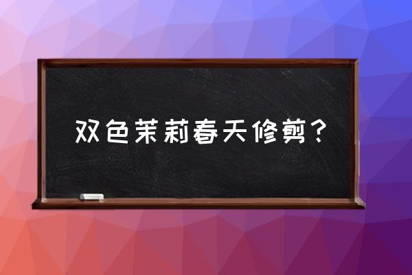 鸳鸯茉莉开花后怎么修剪 双色茉莉春天修剪？