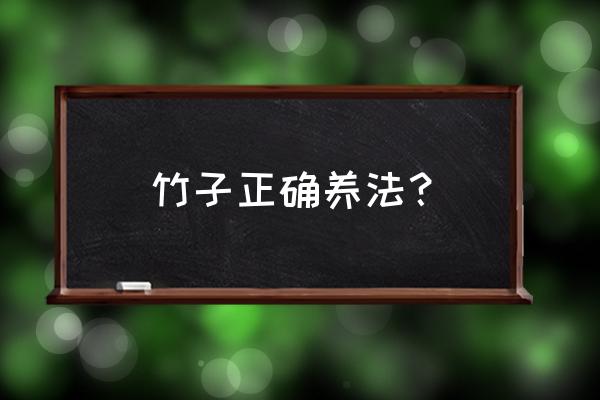 竹子的栽种方法与时间 竹子正确养法？