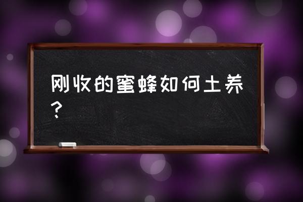 怎么捕捉野蜜蜂回家养 刚收的蜜蜂如何土养？