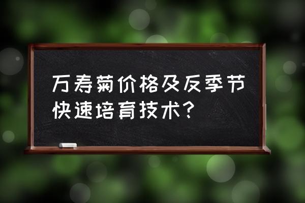 万寿菊种植株行距 万寿菊价格及反季节快速培育技术？