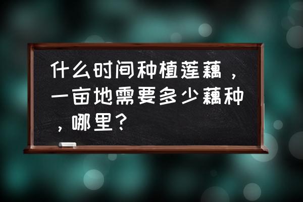 藕种几月份种最好 什么时间种植莲藕，一亩地需要多少藕种，哪里？