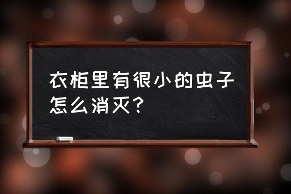 衣柜里面有白色的虫子怎么消灭 衣柜里有很小的虫子怎么消灭？