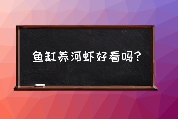 鱼缸养河虾的方法和技巧 鱼缸养河虾好看吗？