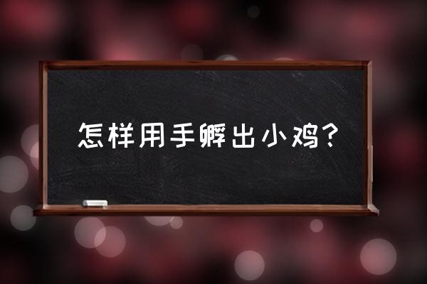 如何在家孵化小鸡 怎样用手孵出小鸡？