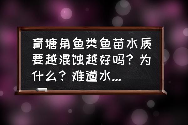 育鱼苗的最佳方法 育塘角鱼类鱼苗水质要越混蚀越好吗？为什么？难道水清则无鱼吗？