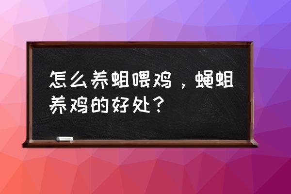 养鸡苍蝇太多怎么消灭小妙招 怎么养蛆喂鸡，蝇蛆养鸡的好处？