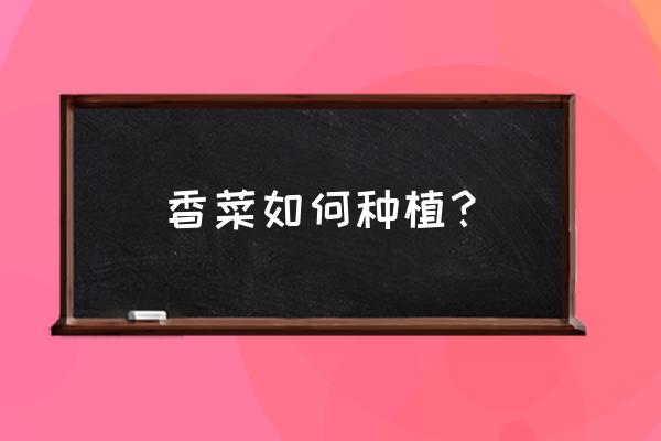 香菜播种时间表 香菜如何种植？