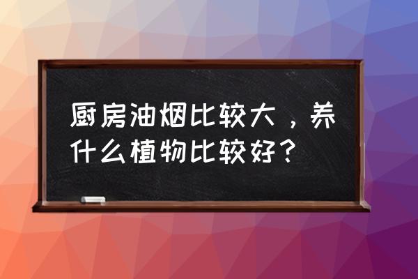 厨房里放什么花能吸油烟 厨房油烟比较大，养什么植物比较好？