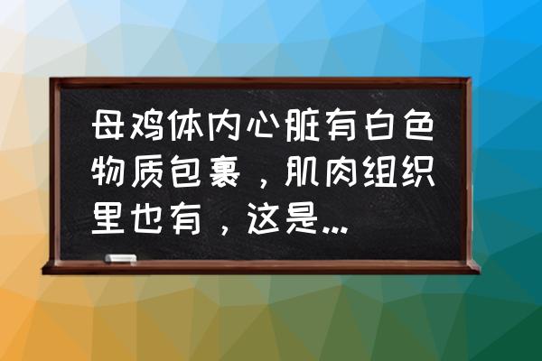 怎样给鸡清除霉菌毒素 母鸡体内心脏有白色物质包裹，肌肉组织里也有，这是什么病？