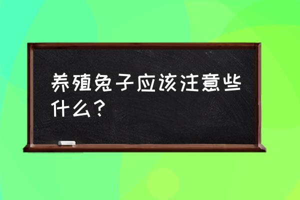 养殖基础知识及方法 养殖兔子应该注意些什么？